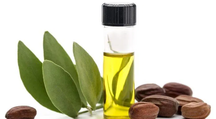 5 lợi ích dưỡng da tuyệt vời của dầu jojoba - BlogAnChoi