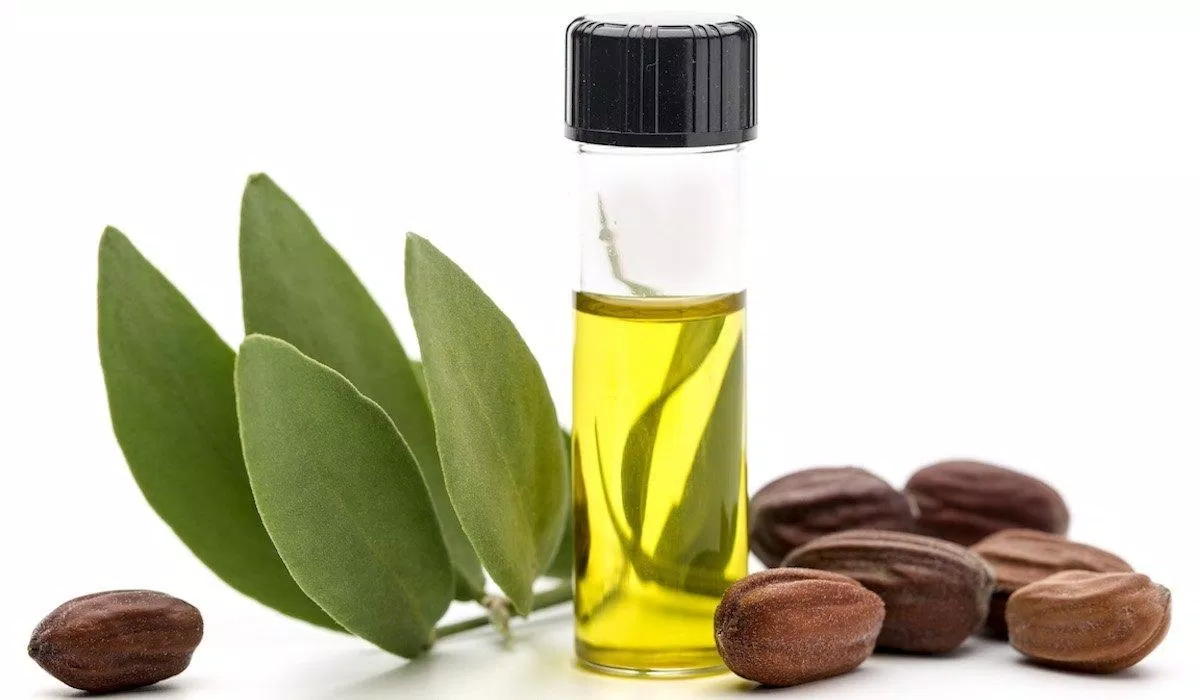 Dầu jojoba mang đến rất nhiều lợi ích dưỡng da. (nguồn: internet)