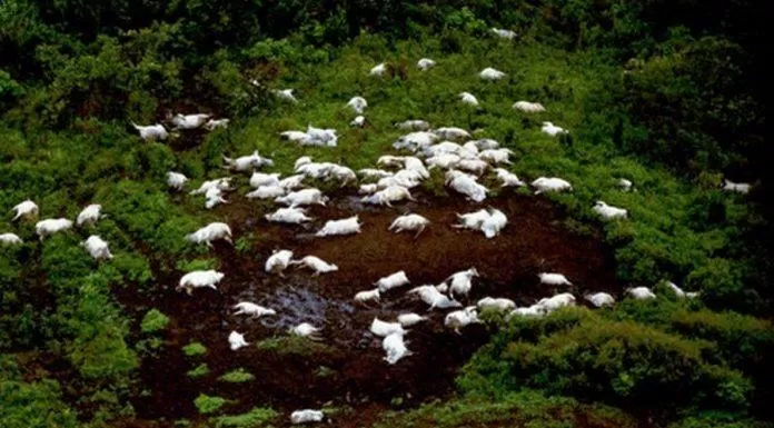“Hồ Sát Nhân” Nyos – giết chết 2.000 người trong 1 đêm là vì đâu?