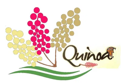 hạt diêm mạch quinoa