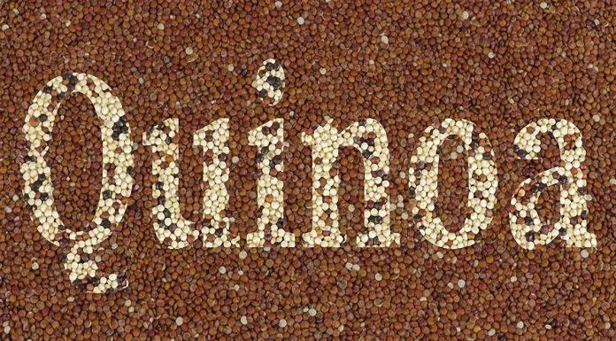 hạt diêm mạch quinoa