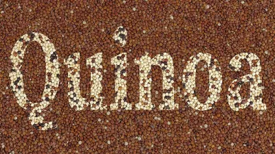 hạt diêm mạch quinoa