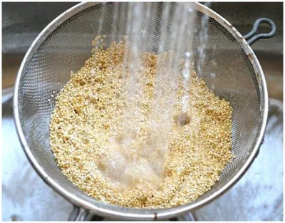 hạt diêm mạch quinoa