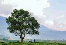vẻ đẹp đông giang