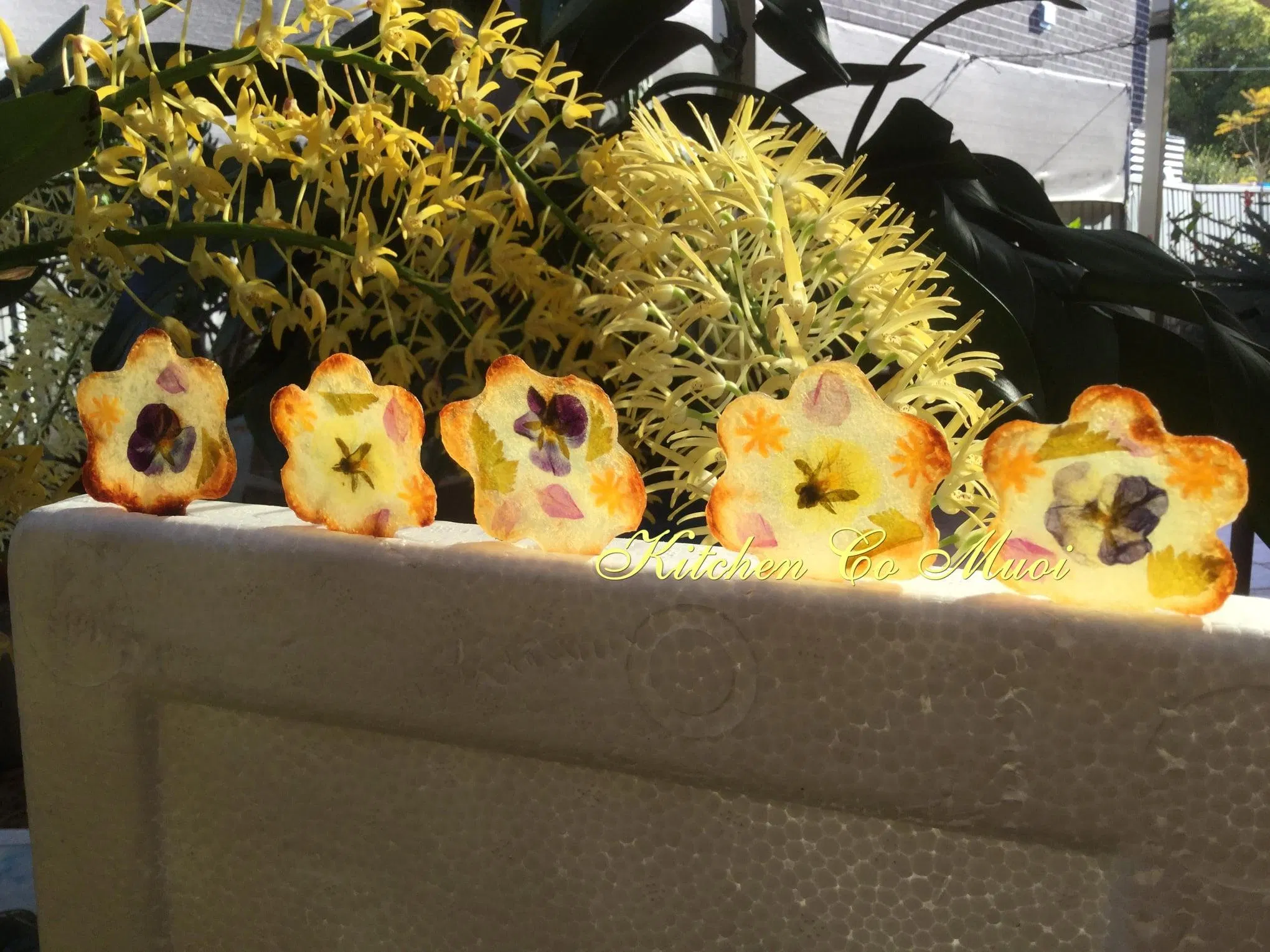 Khoai tây nướng lát mỏng