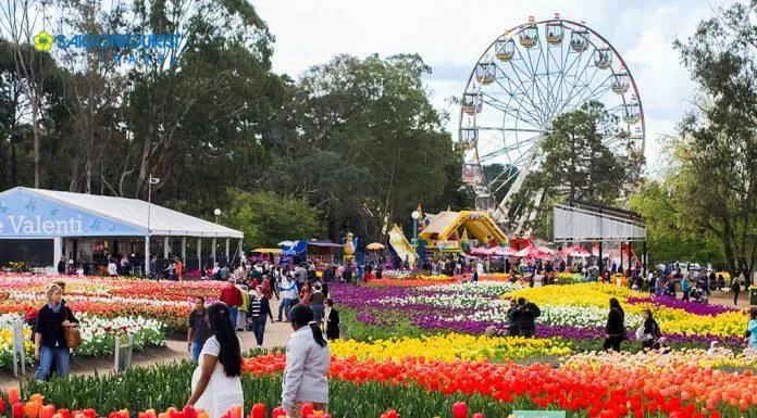 Lễ hội hoa Xuân Floriade