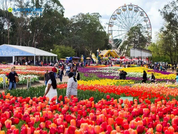 Lễ hội hoa Xuân Floriade