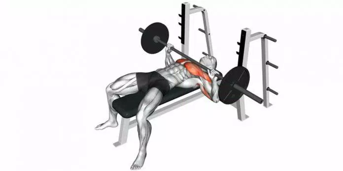 Normal grip barbell bench press.
