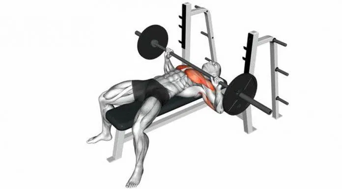 Normal grip barbell bench press.