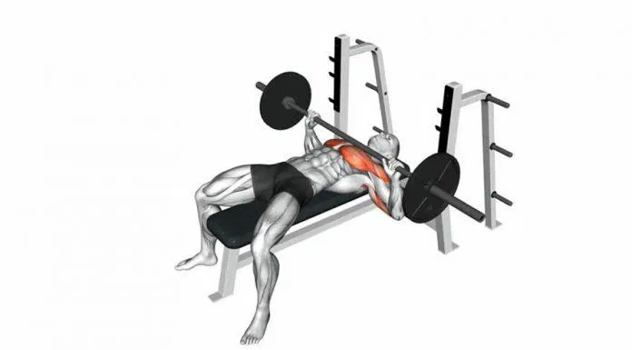 Bài tập cơ ngực barbell bench press.