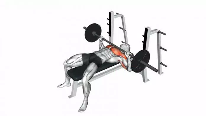Bài tập cơ ngực barbell bench press.