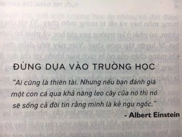 trích dẫn 2