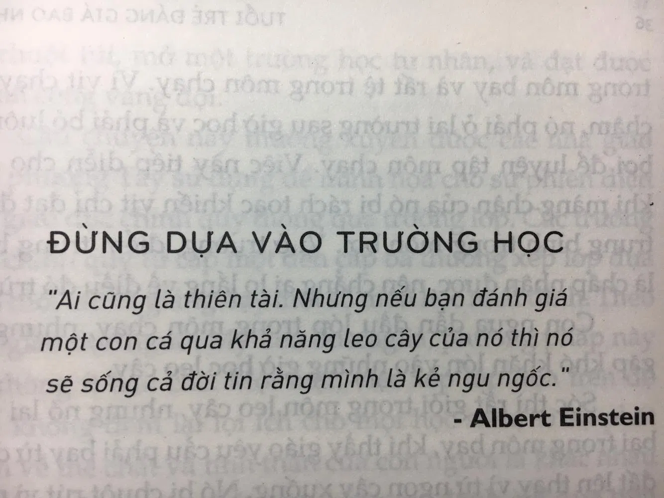 trích dẫn 2