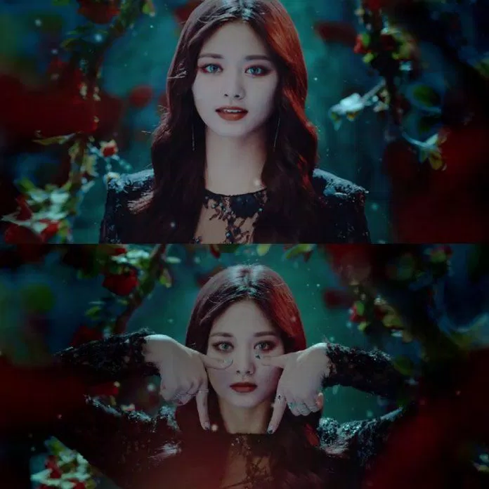 tzuyu
