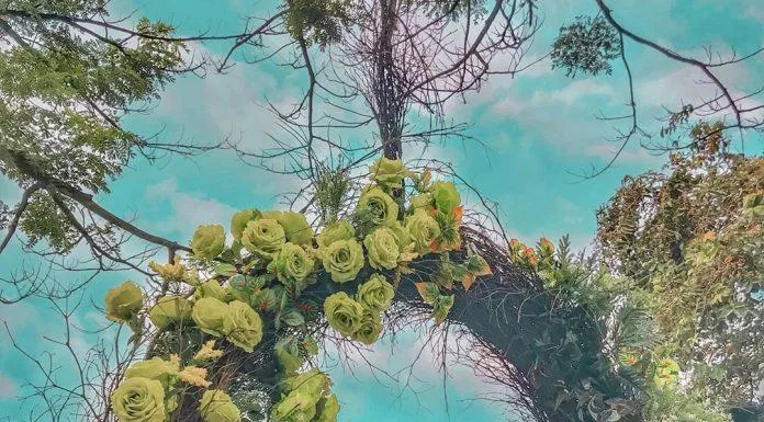 Vòng hoa khổng lồ chính là nơi lý tưởng để bạn cho ra đời những bức ảnh xin xò