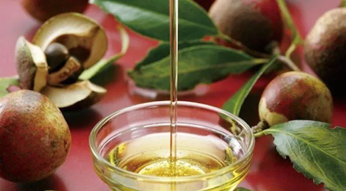 Dầu hoa trà Camellia khá tiêu biểu để các chị em da khô cân nhắc bên cạnh dầu Marula, dầu bơ