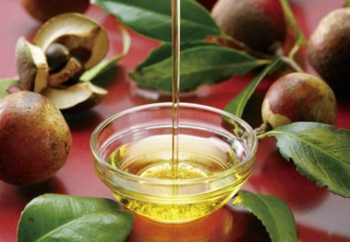 Dầu hoa trà Camellia khá tiêu biểu để các chị em da khô cân nhắc bên cạnh dầu Marula, dầu bơ