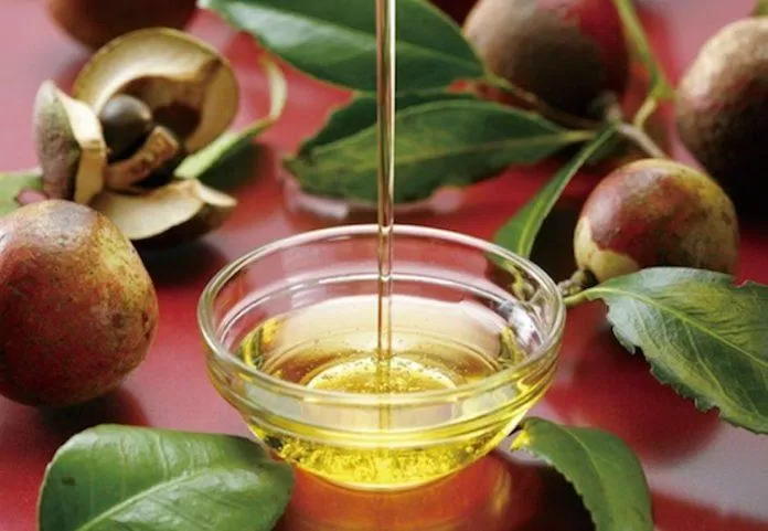 Dầu hoa trà Camellia khá tiêu biểu để các chị em da khô cân nhắc bên cạnh dầu Marula, dầu bơ