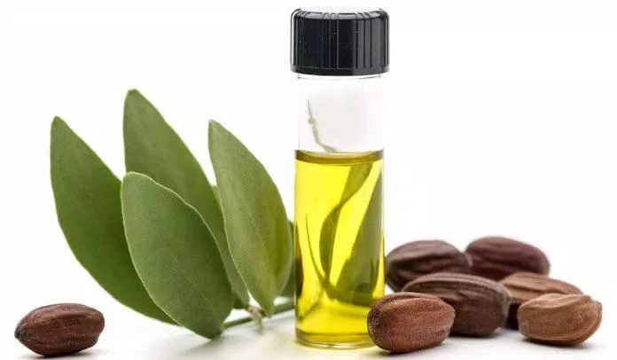 Dầu jojoba hay các loại dầu hạt nho, dầu chanh leo sẽ là loại dầu dưỡng lý tưởng cho một làn da dầu mụn