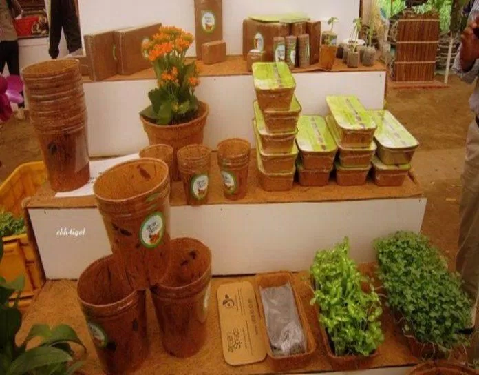 Các chậu cây làm từ dừa được bày bán tại Festival Dừa 2012