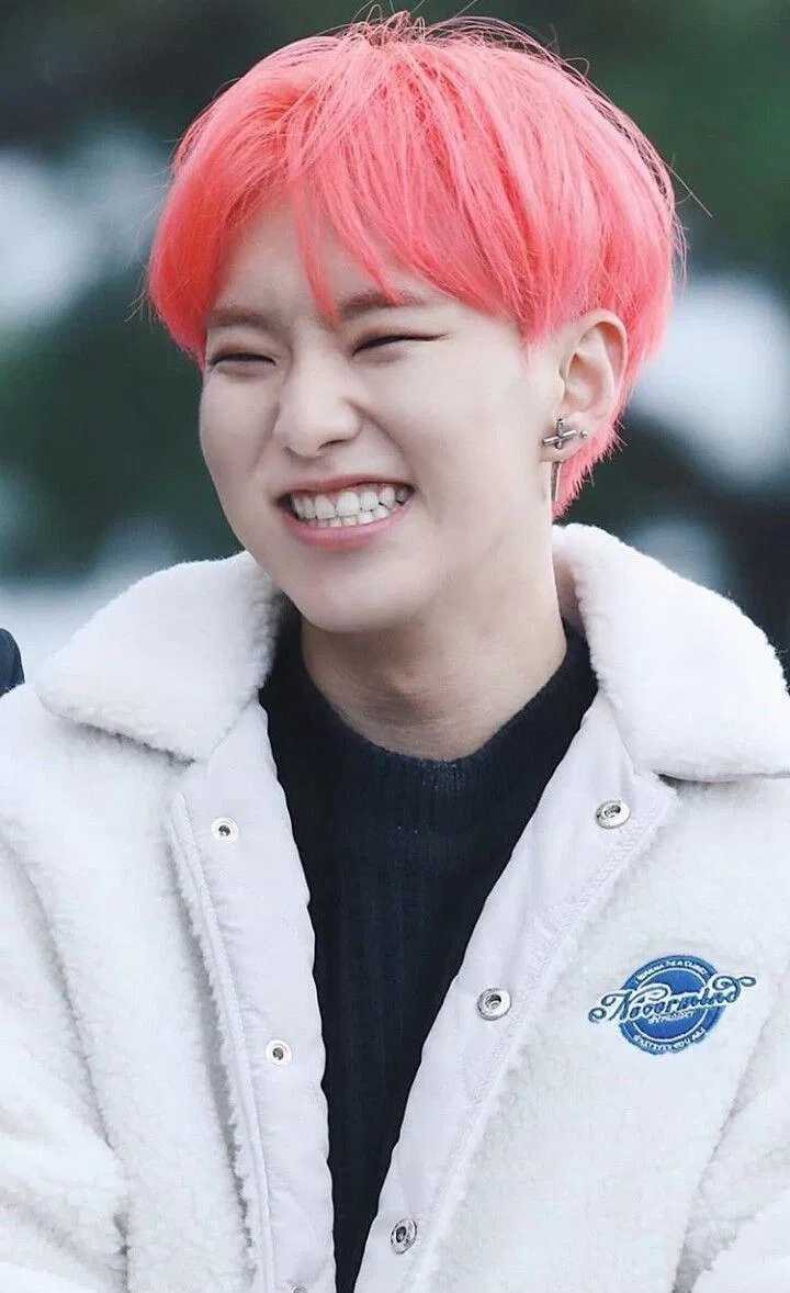 Ảnh minh họa Hoshi