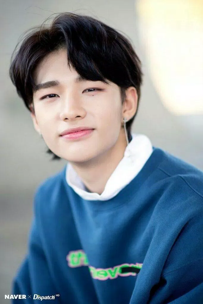 Là visual của nhóm, bảo sao Hyunjin lại đẹp trai đến vậy hyunjin mất con