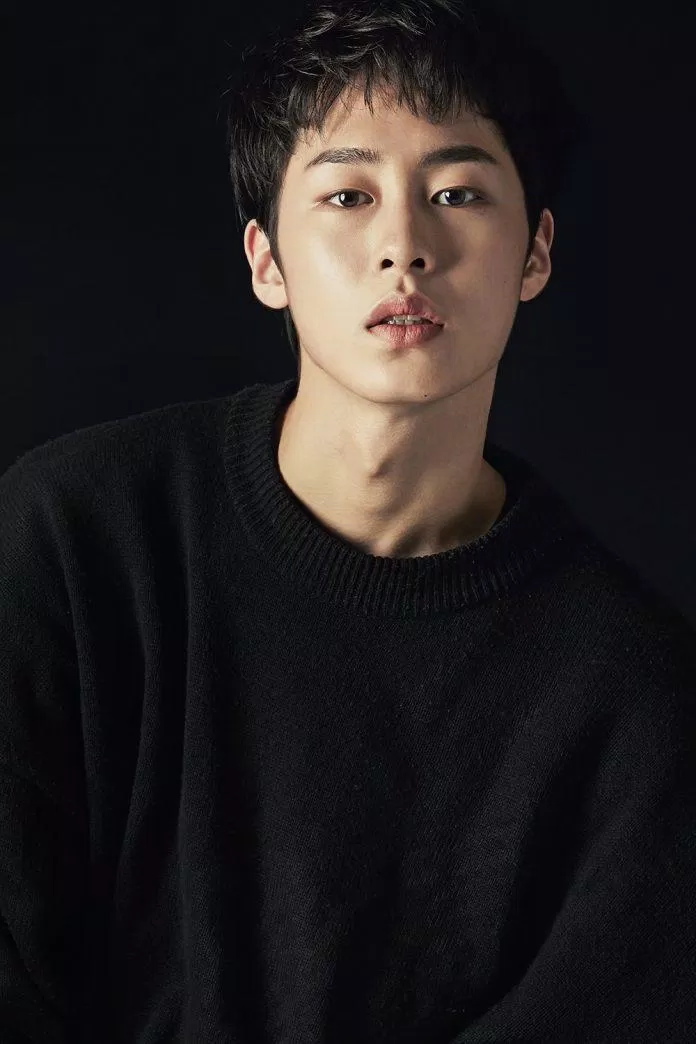 Lee Jae Wook