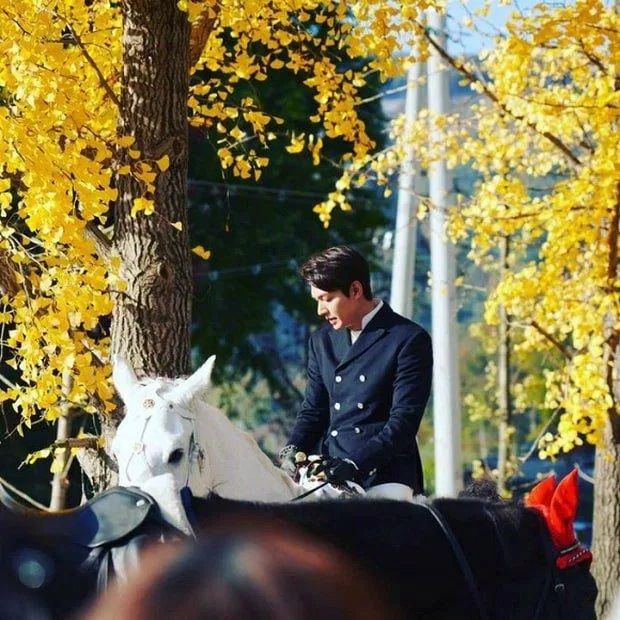 lee-min-ho-the-king