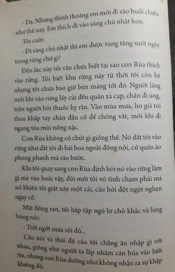 Ngồi khóc trên cây
