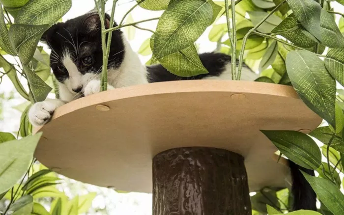 nhà cây cho mèo cat tree