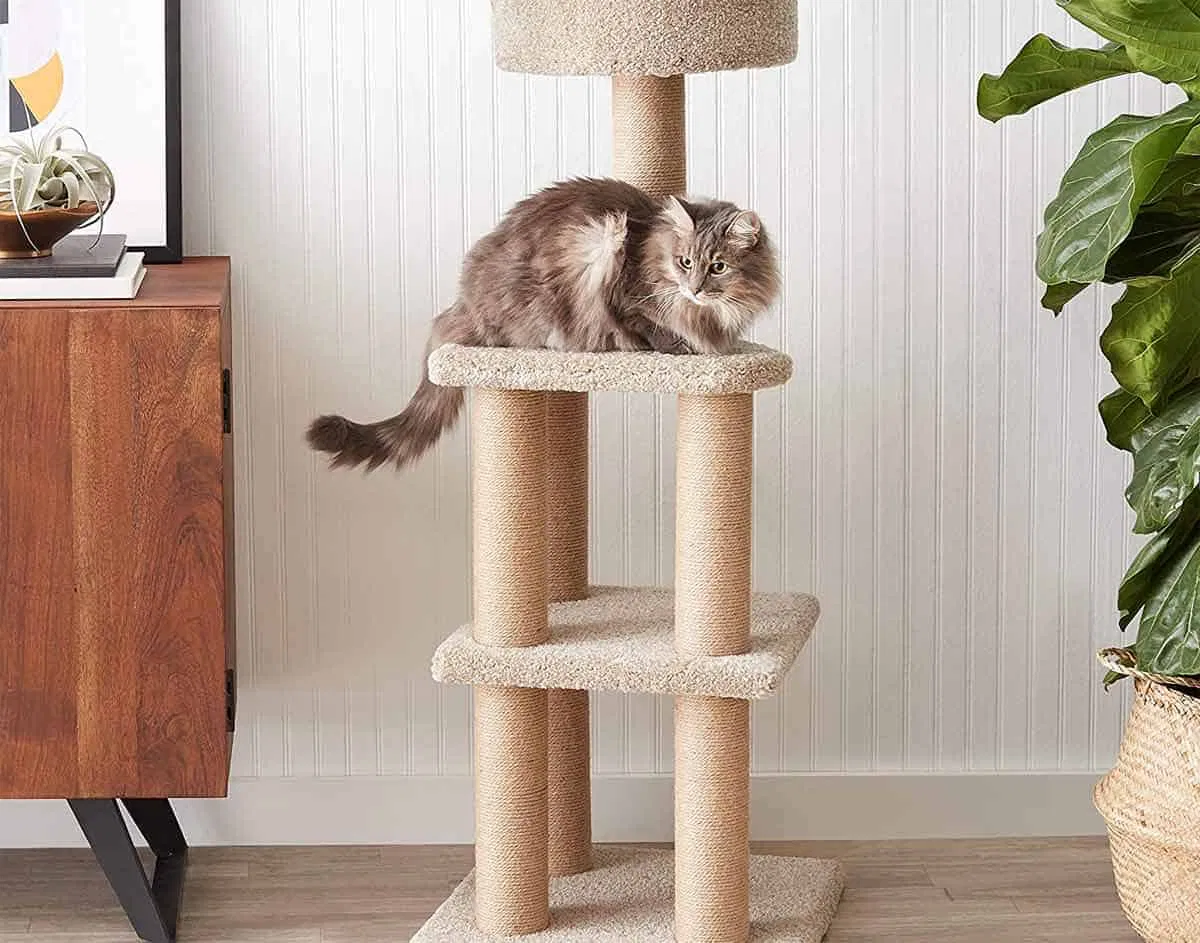 nhà cây cho mèo cat tree