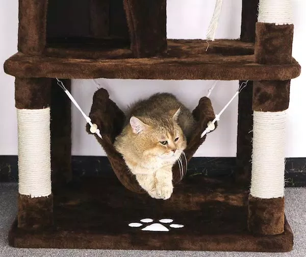 nhà cây cho mèo cat tree