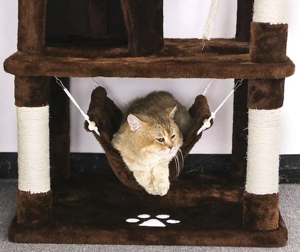 nhà cây cho mèo cat tree