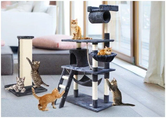 nhà cây cho mèo cat tree