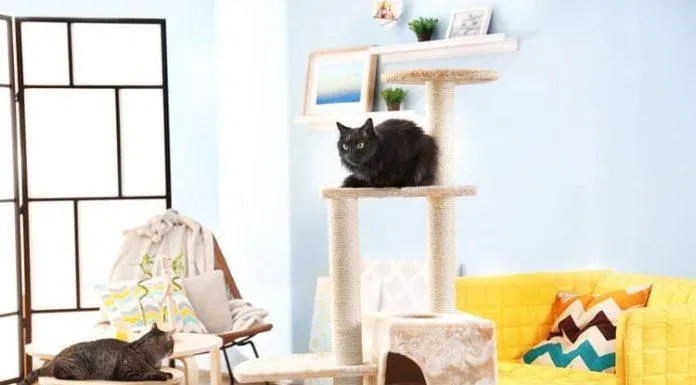nhà cây cho mèo cat tree