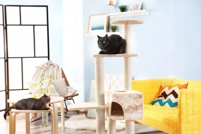nhà cây cho mèo cat tree