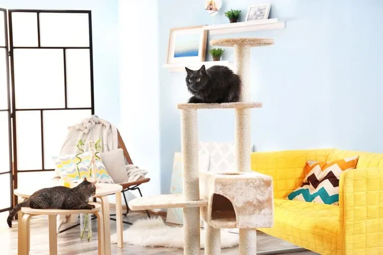 nhà cây cho mèo cat tree