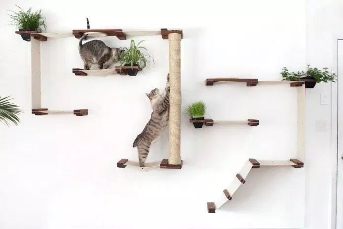 nhà cây cho mèo cat tree