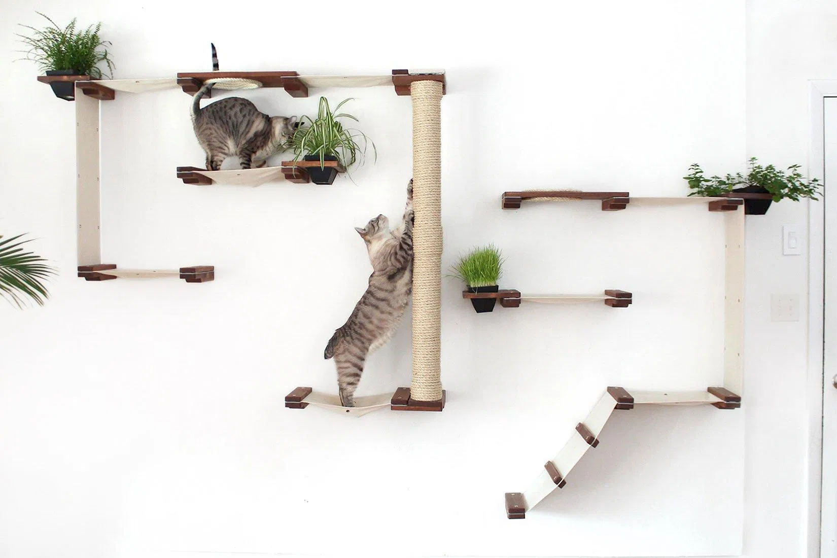 nhà cây cho mèo cat tree