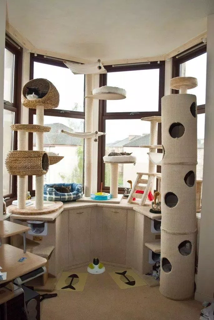 nhà cây cho mèo cat tree