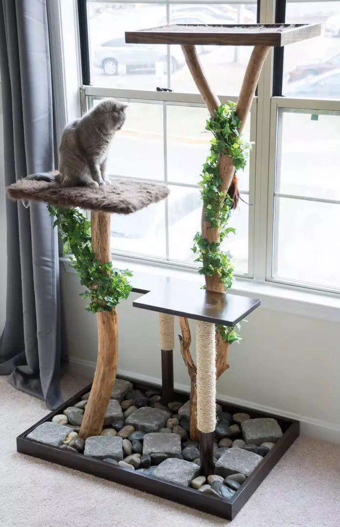 nhà cây cho mèo cat tree