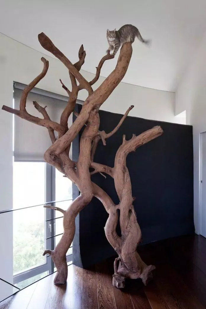 nhà cây cho mèo cat tree
