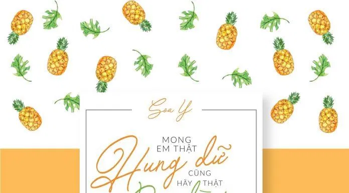 những cuốn tản văn hay