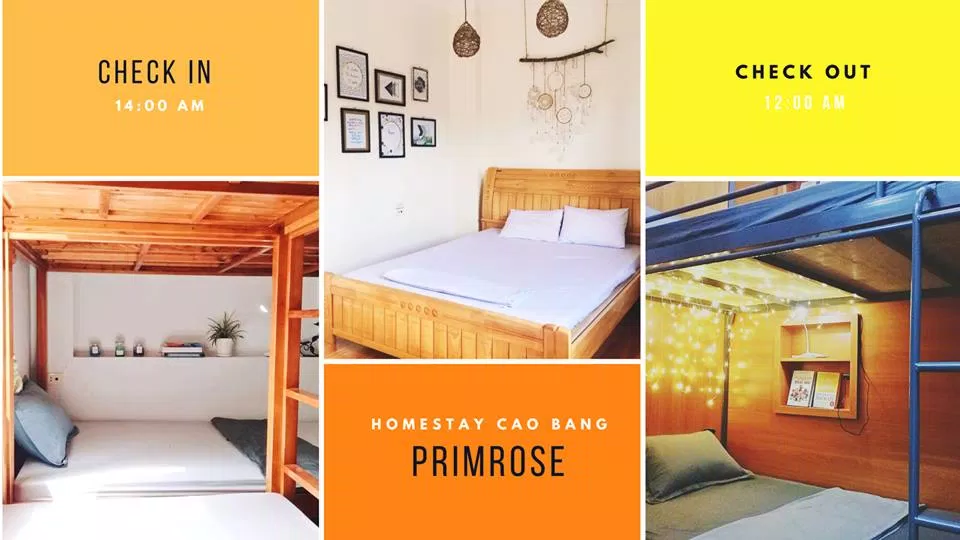 Primrosé Homestay Cao Bang (Nguồn: Internet) Primrosé Homestay Cao Bang (Nguồn: Internet)