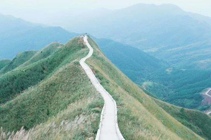 Sống lưng khủng long Sống lưng khủng long
