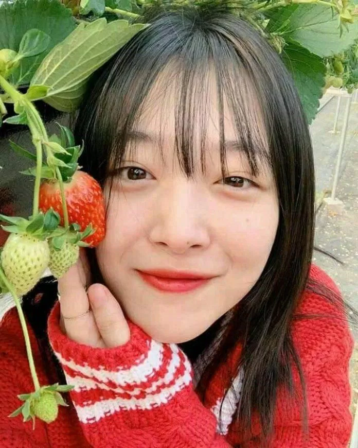 sulli fx tự sát