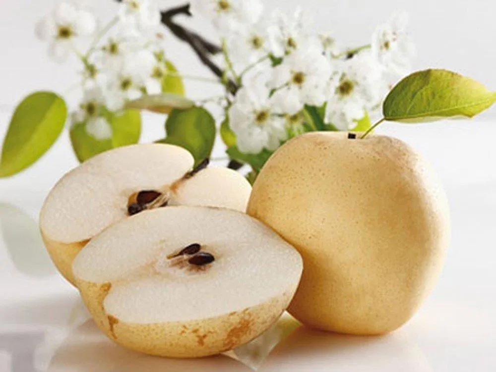 thực phẩm tốt cho bệnh trĩ