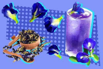 trà hoa đậu biếc