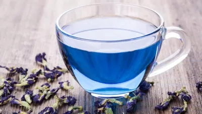 trà hoa đậu biếc