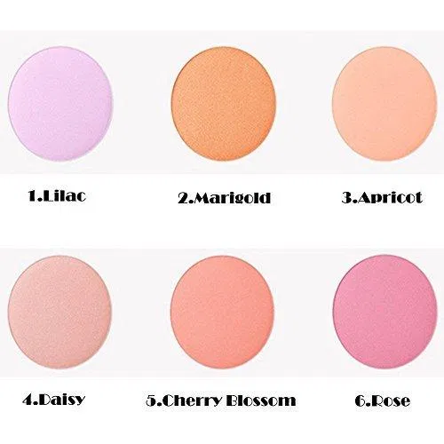 Phấn má có 6 tone màu đa dạng khác nhau (ảnh: internet).